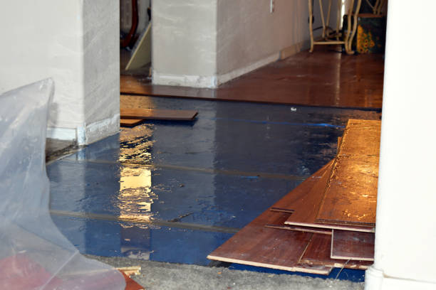Professional Sewage Cleanup technician working in Scotts, MI
